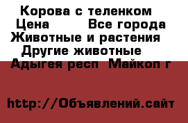 Корова с теленком › Цена ­ 69 - Все города Животные и растения » Другие животные   . Адыгея респ.,Майкоп г.